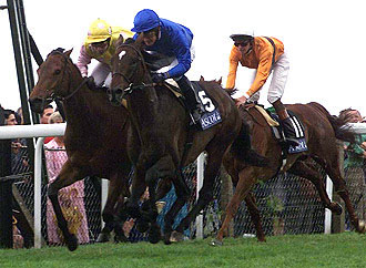 horse racing index horse racing index
